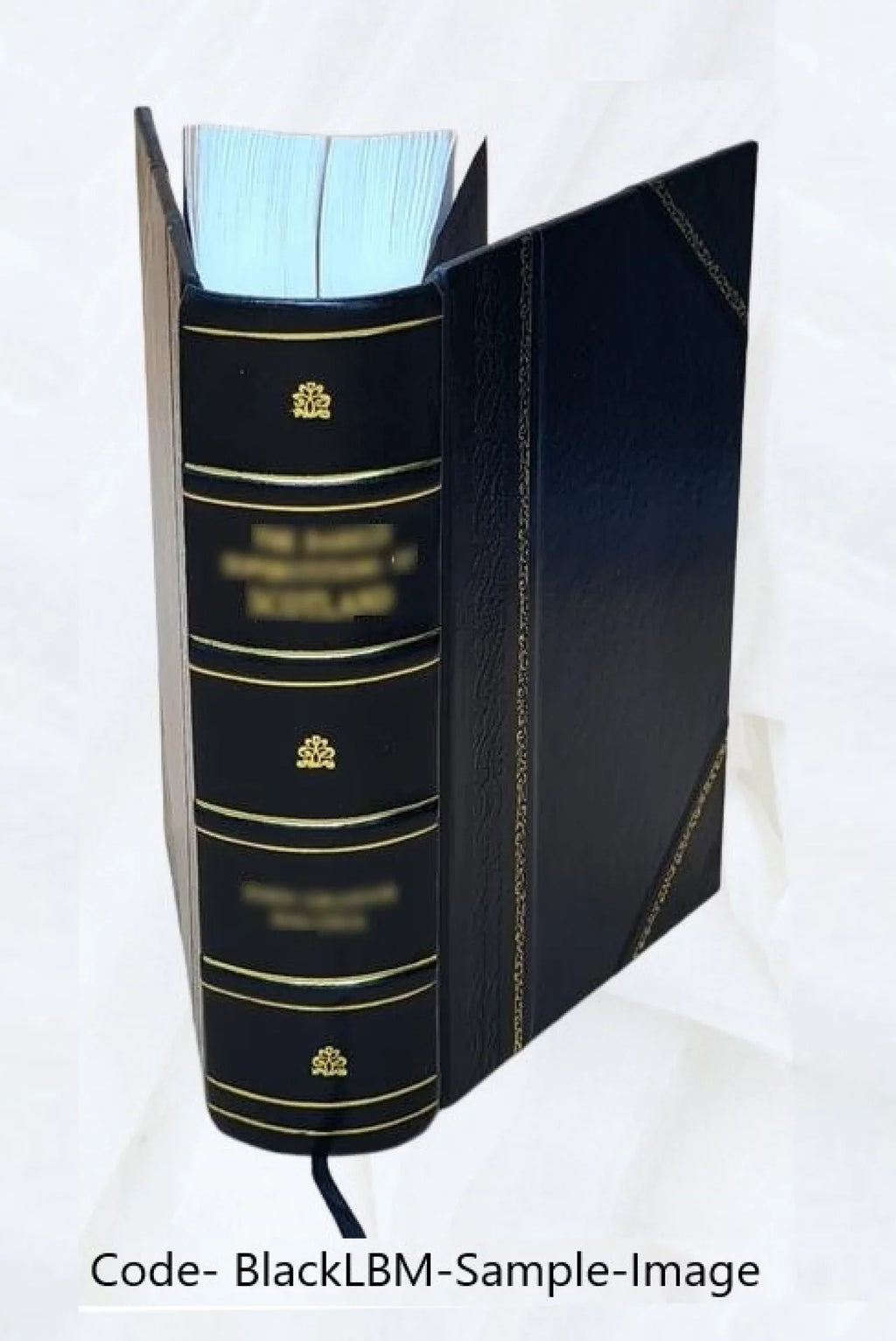 Delle strade ferrate italiane e del migliore ordinamento di esse cinque discorsi di Carlo Ilarione Petitti 1845 [Leather Bound]