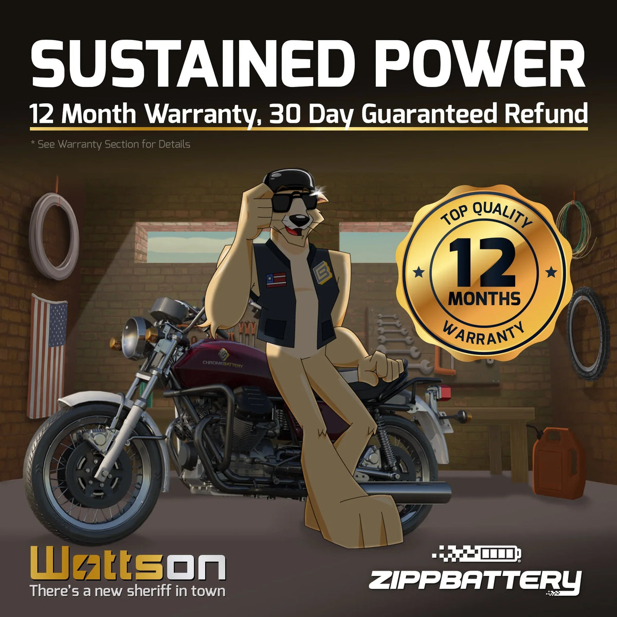 Zipp Battery YT14B- (14B- 12 Volt,12 Ah, 135 ) Motorcycle Battery for Hyosungmotors 650cc Gv650 Se 2009