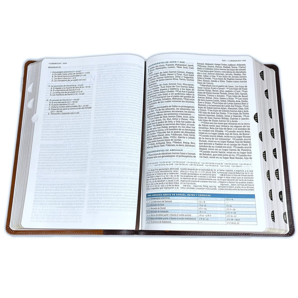 Nbla Biblia de Estudio Macarthur, Leathersoft, Café, Interior a  Colores, Con Índice (Other)