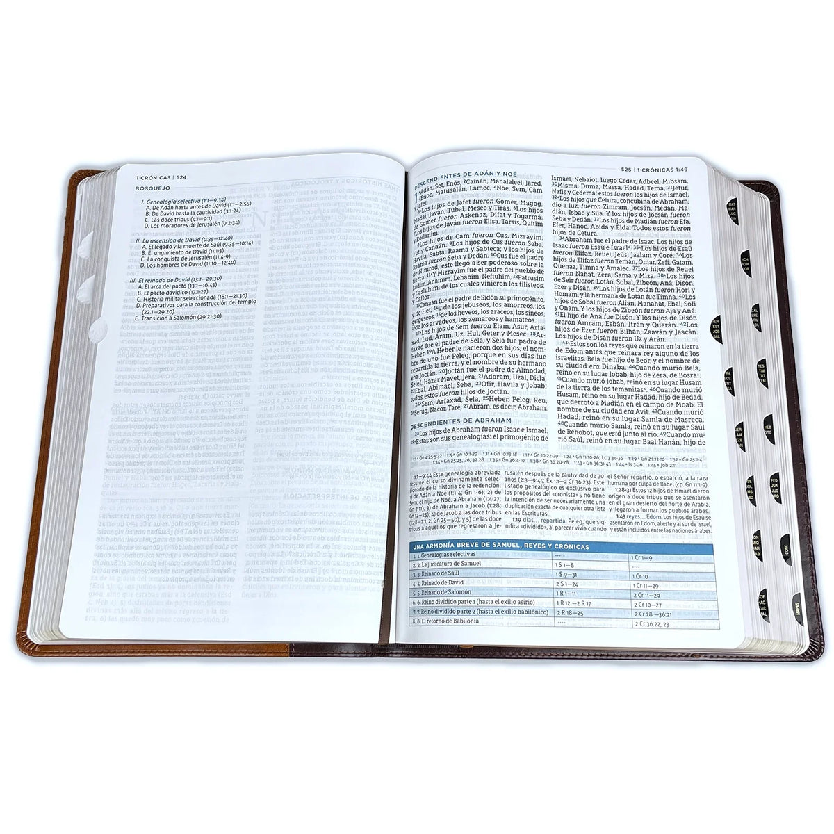 Nbla Biblia de Estudio Macarthur, Leathersoft, Café, Interior a  Colores, Con Índice (Other)