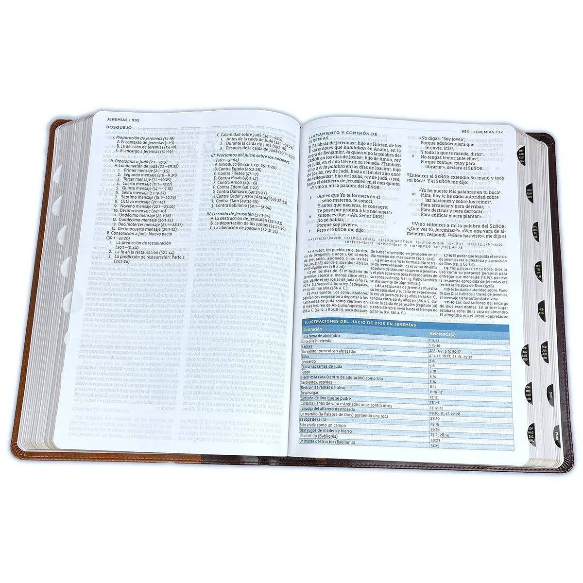 Nbla Biblia de Estudio Macarthur, Leathersoft, Café, Interior a  Colores, Con Índice (Other)