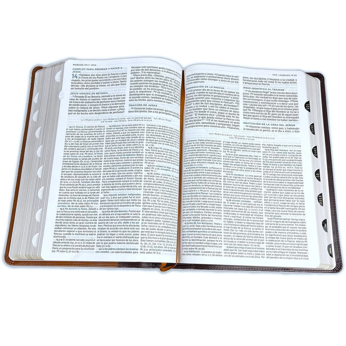 Nbla Biblia de Estudio Macarthur, Leathersoft, Café, Interior a  Colores, Con Índice (Other)