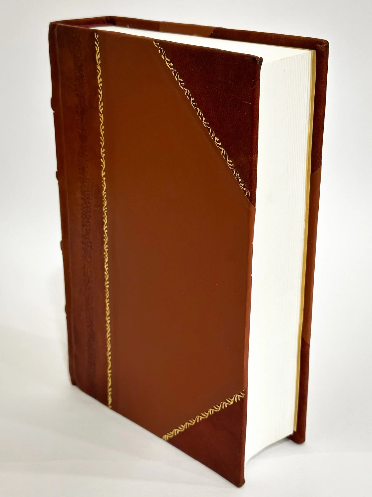 Jani Nicii Erithraei Pinacotheca Imaginum Illustrium Doctrinae Vel Ingenii Laude Virorum Qui Auctore Superstite Diem Suum Obierunt / Giovanni Vittorio Rossi (1729) (1729) [Leather Bound]