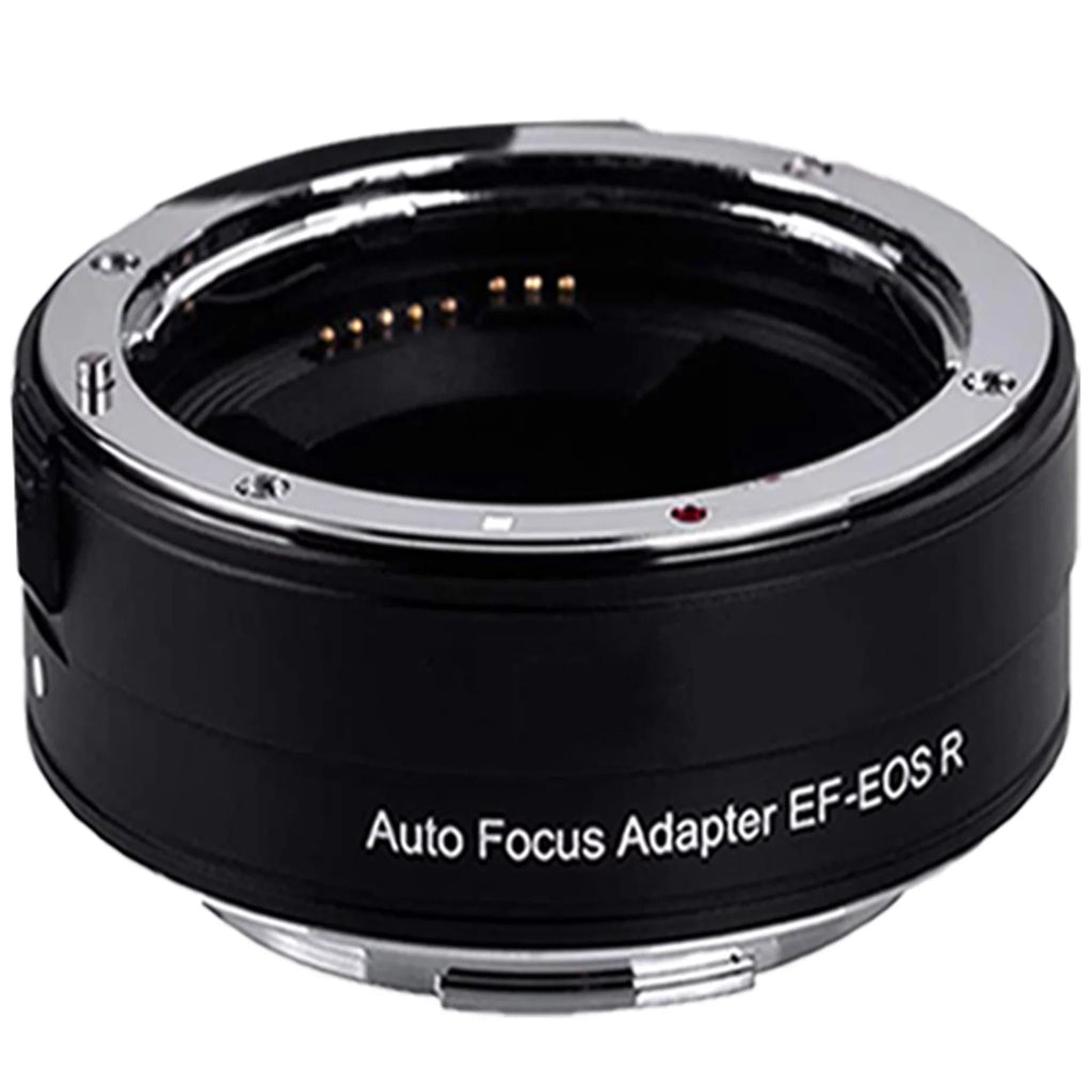 Canon  R5 Mirrorless Camera with RF24-105mm + 75-300mm Lens + Mount Adapter + SanDisk 128GB + ZeeTech Accessory