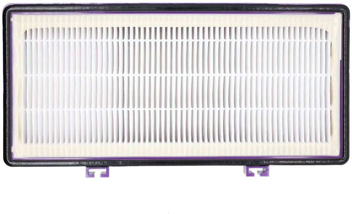 D Filter for Holmes AER1 HAPF300/HAP30 (4 Pack + 8 Pre-Carbon Sheet)