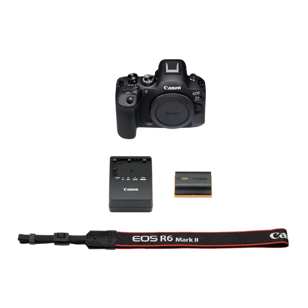 Canon  R6 Mark  - Digital camera - mirrorless - 24.2  - Full Frame - 4K / 60 fps - body only - Wi-Fi, Bluetooth - with Stop Motion Animation Firmware