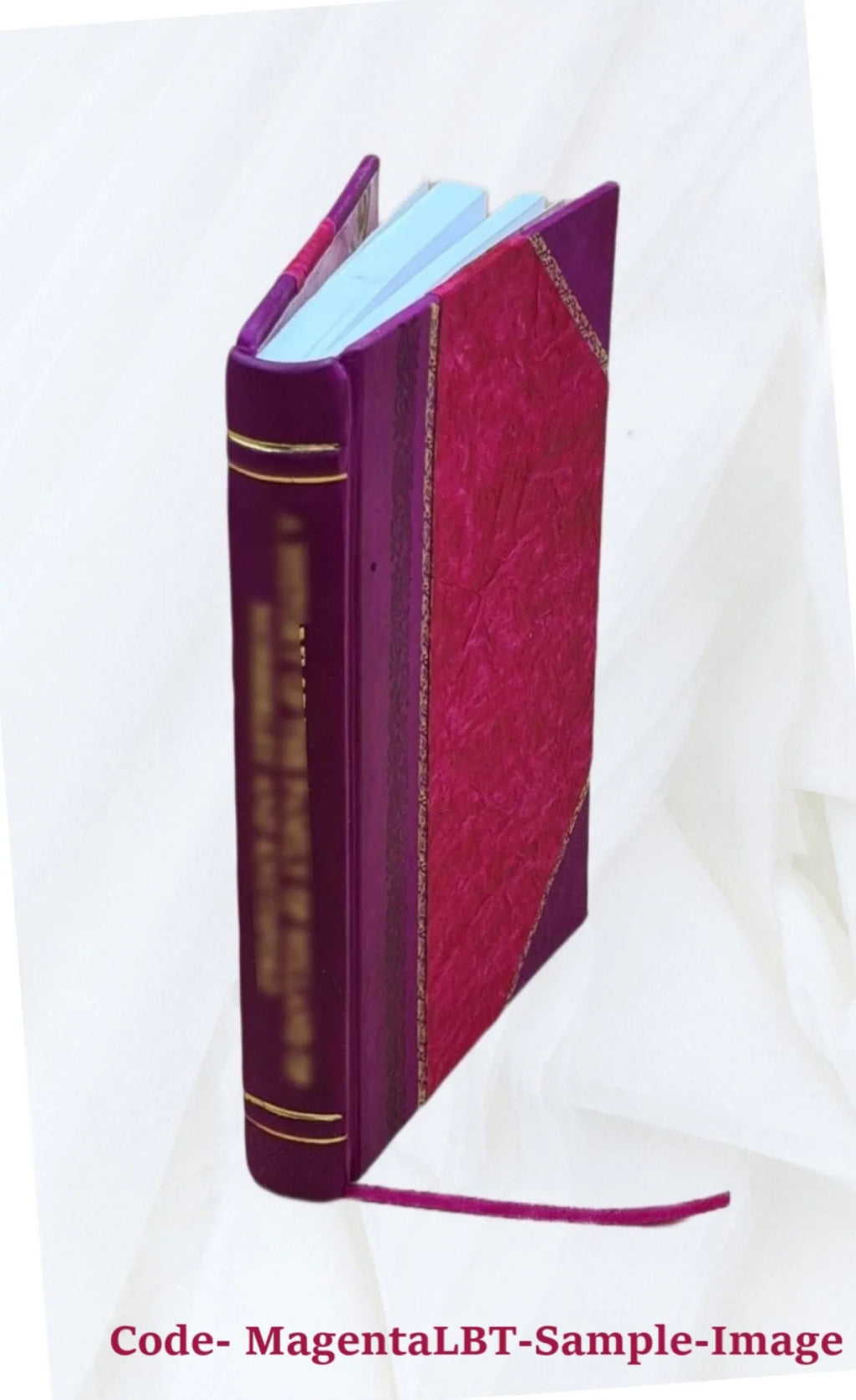 Logia et agrapha domini Jesu : apud moslemicos scriptores, asceticos praesertim, usitata. Fasciculus  / collegit, vertit, notis instruxit Michaël Asin... [et al.] [Leather Bound]
