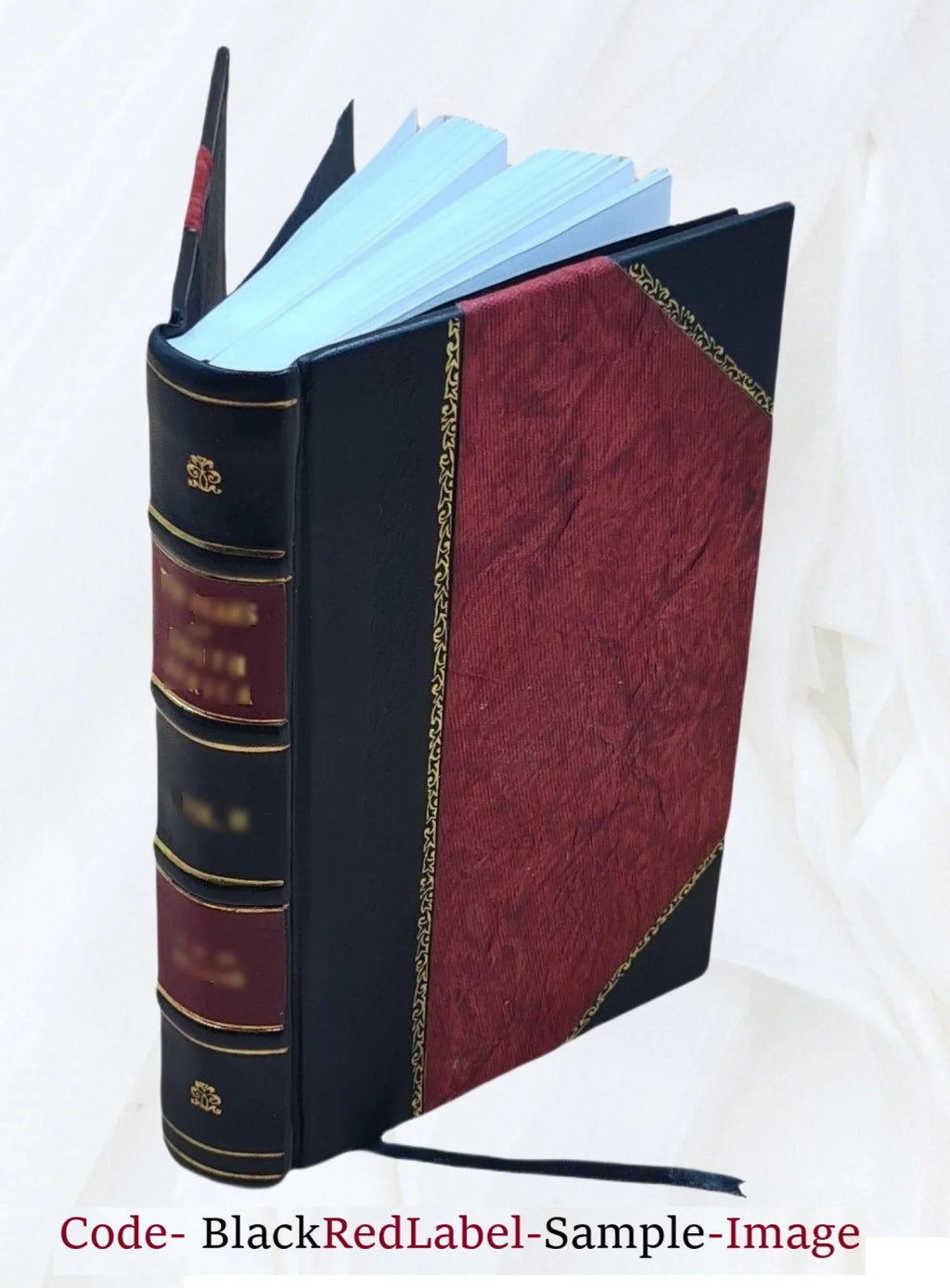 Plvtarchi Bina Opvscvla, Altervm De Pverorvm Edvcatione, In Vsvm Tironvm Altervm De Ratione Avdiendi, In Vsvm Provectiorvm Accomodata 1738 [Leather Bound]
