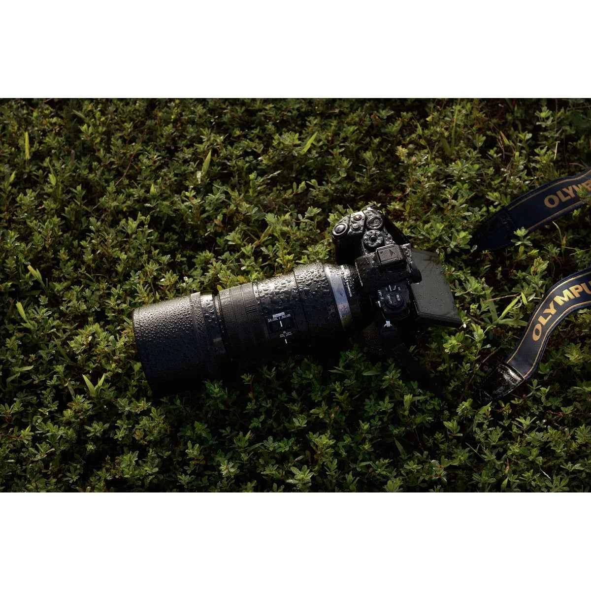 M.Zuiko Digital  300mm F4.0  Lens, for Micro Four Thirds Cameras
