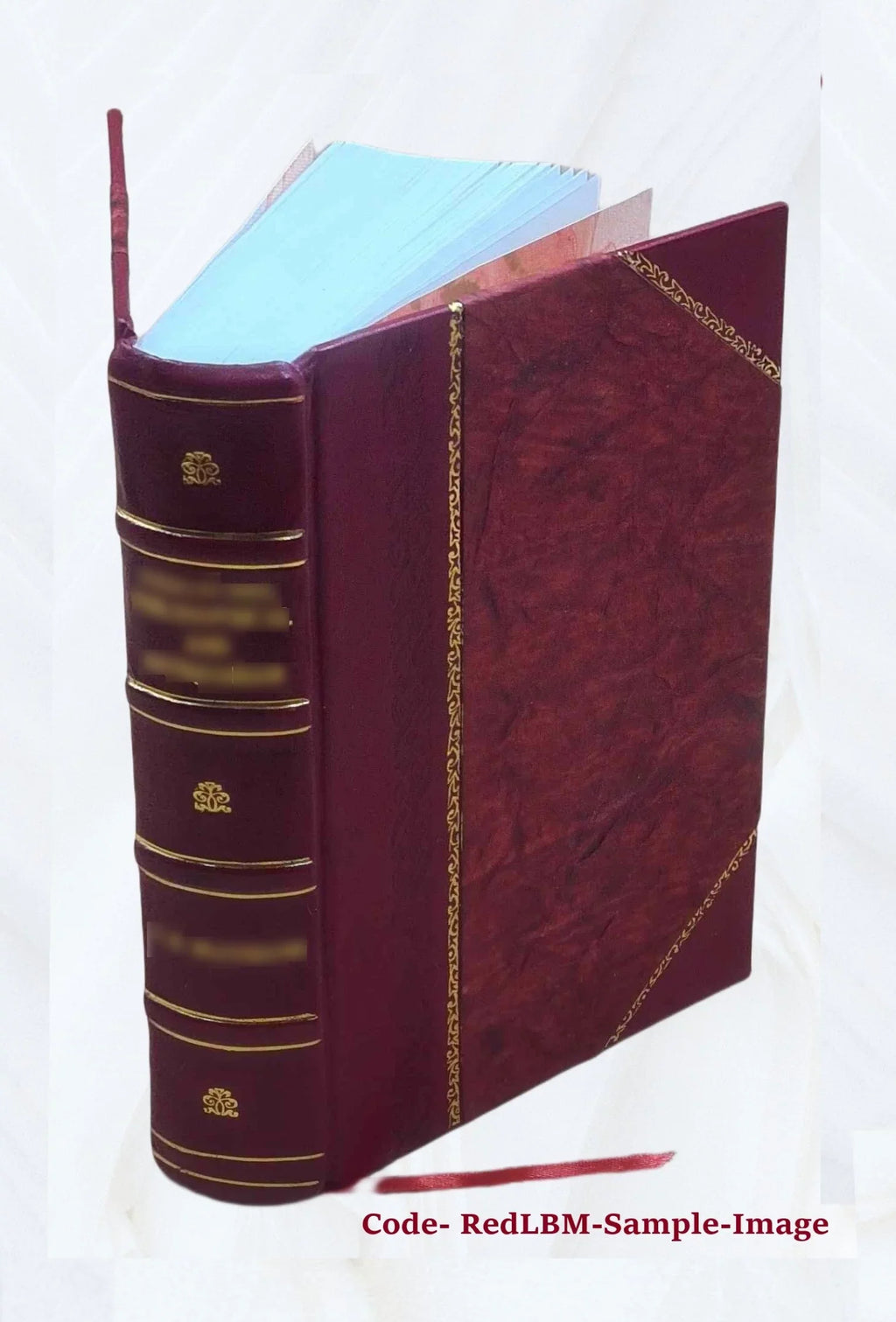 Delle strade ferrate italiane e del migliore ordinamento di esse cinque discorsi di Carlo Ilarione Petitti 1845 [Leather Bound]