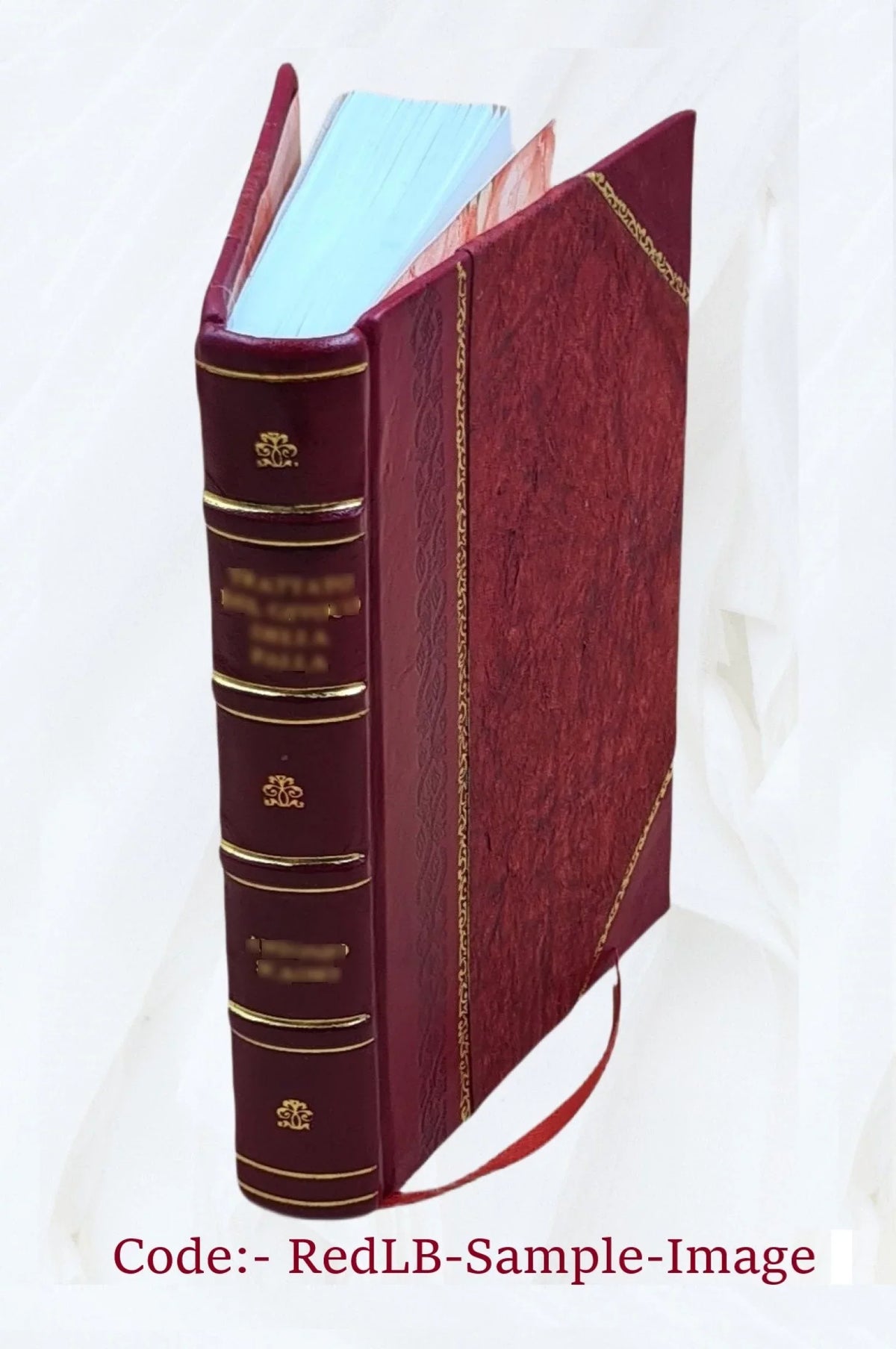Plvtarchi Bina Opvscvla, Altervm De Pverorvm Edvcatione, In Vsvm Tironvm Altervm De Ratione Avdiendi, In Vsvm Provectiorvm Accomodata 1738 [Leather Bound]