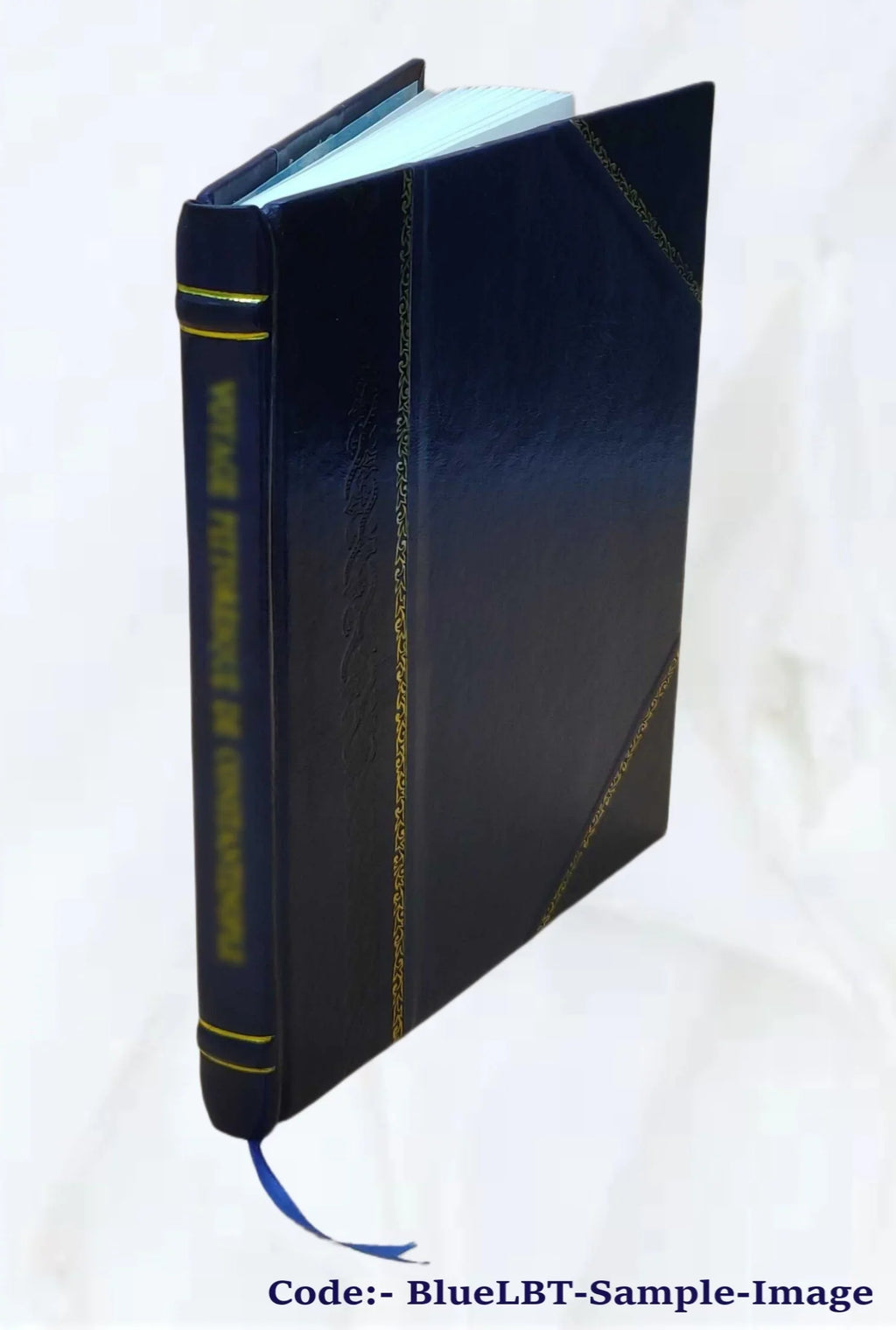 Logia et agrapha domini Jesu : apud moslemicos scriptores, asceticos praesertim, usitata. Fasciculus  / collegit, vertit, notis instruxit Michaël Asin... [et al.] [Leather Bound]